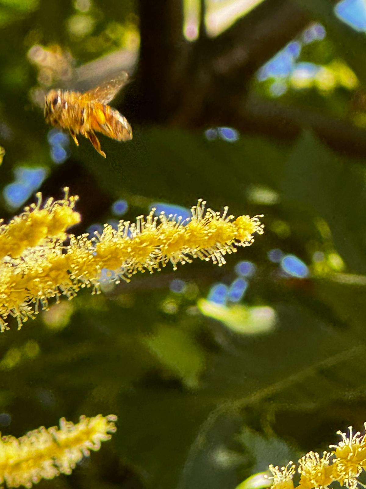 Vista dei campi coltivati